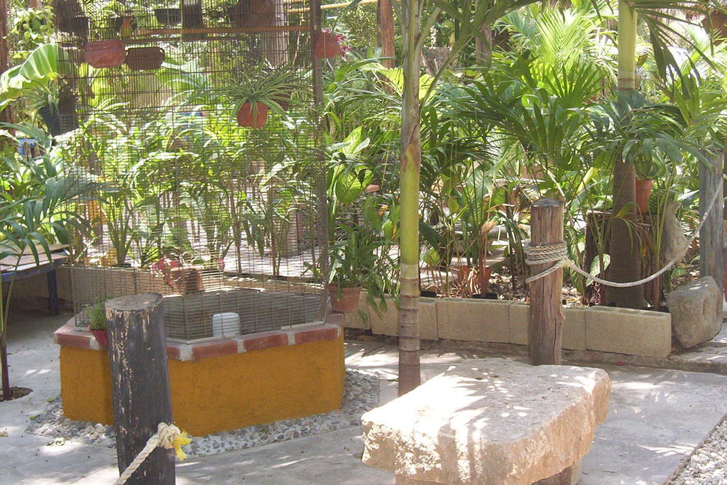Posada El Jardin Ticul Exterior photo
